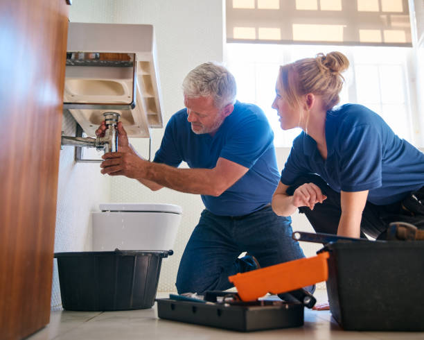 Best Toilet Repair Services  in Alta, IA